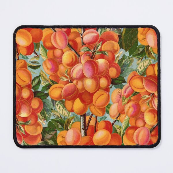 Item preview, APRICOTS FRUIT TREE AND GREEN LEAVES Botanical Floral designed and sold by BulganLumini.
