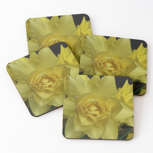 Item preview, Beautiful Double Daffodils  designed and sold by Bumpulous.