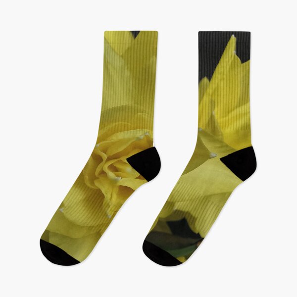 Item preview, Beautiful Double Daffodils  designed and sold by Bumpulous.