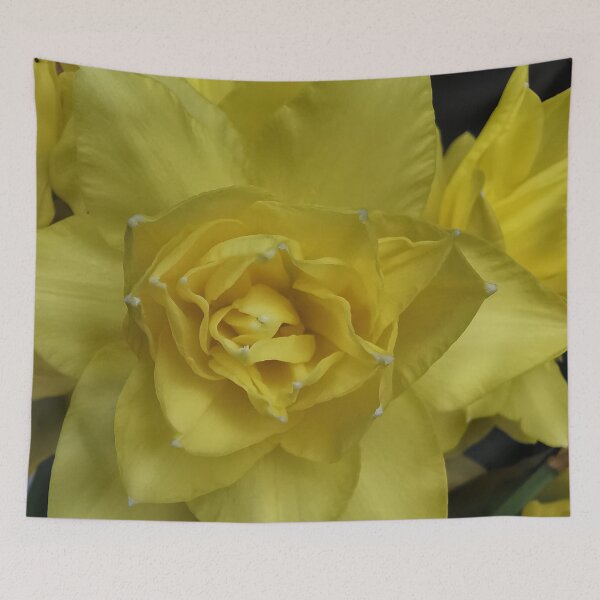 Item preview, Beautiful Double Daffodils  designed and sold by Bumpulous.