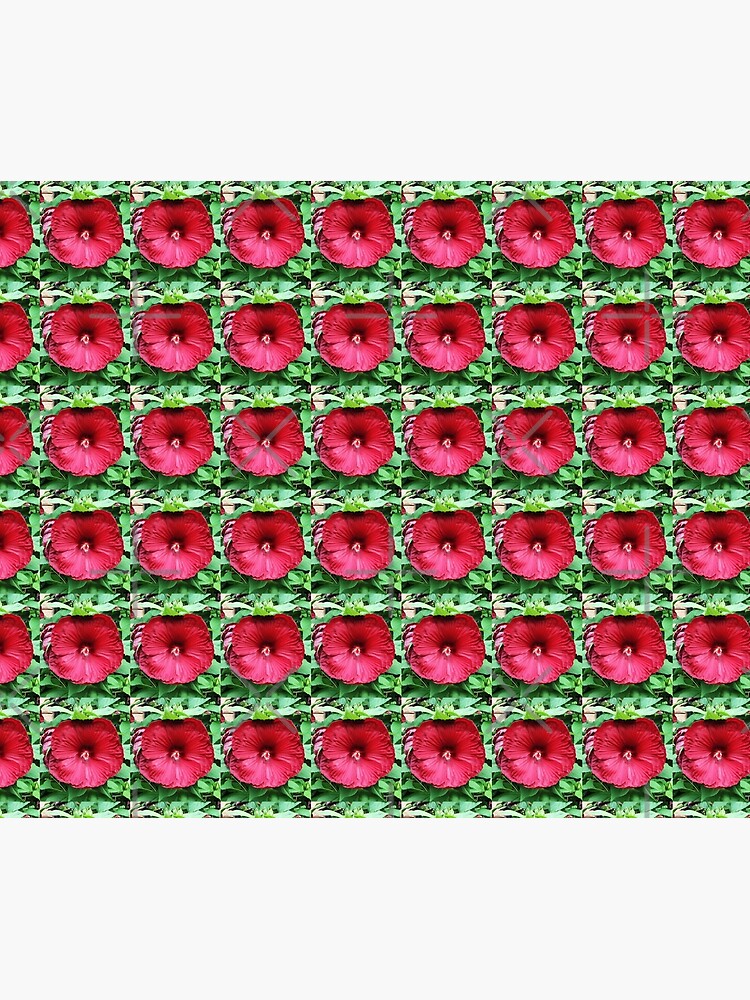 Hibiscus High - Tropical Flower Art Photo by OneDayOneImage - Gift for Gardener - Flower Lover by OneDayArt