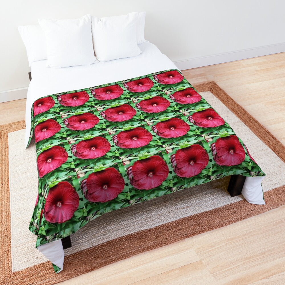Hibiscus High - Tropical Flower Art Photo by OneDayOneImage - Gift for Gardener - Flower Lover Comforter
