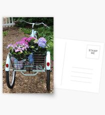 Basket Full Of Hydrangea Flowers Postcards