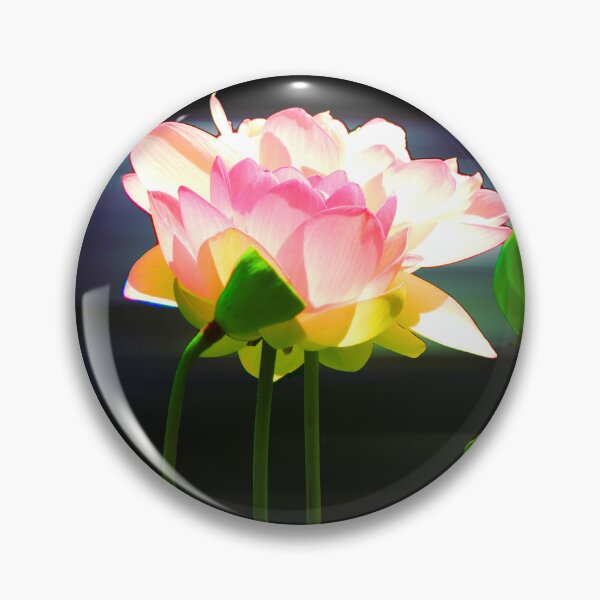 Item preview, Clean designed and sold by Robert Ball.