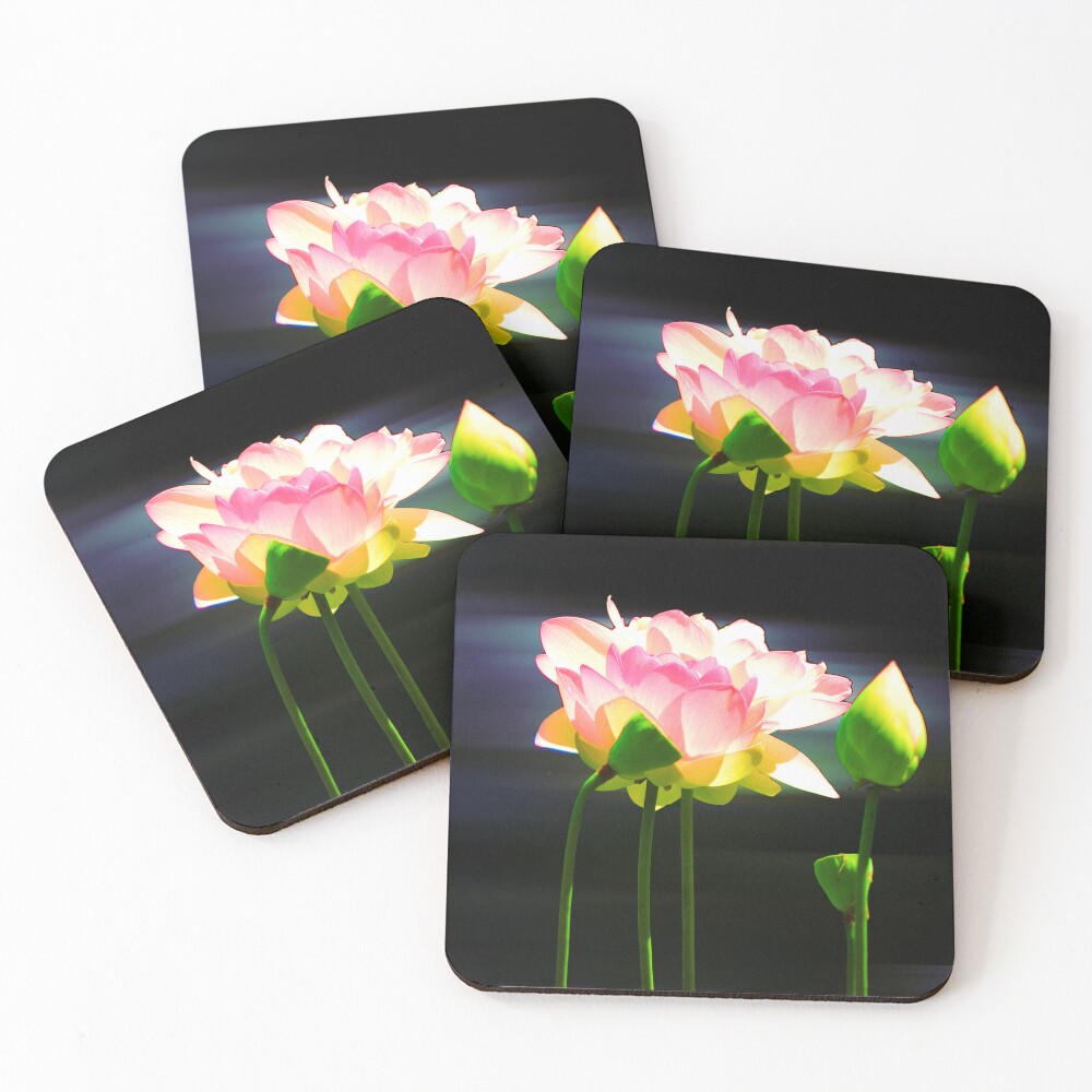 Item preview, Coasters (Set of 4) designed and sold by robjoeball.