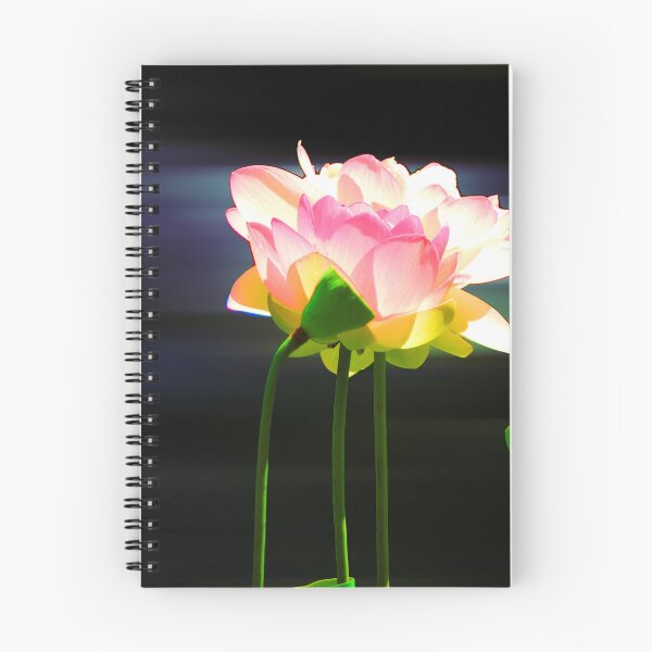 Item preview, Clean designed and sold by Robert Ball.