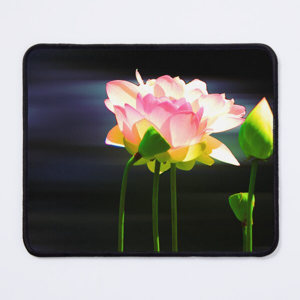 Item preview, Clean designed and sold by Robert Ball.