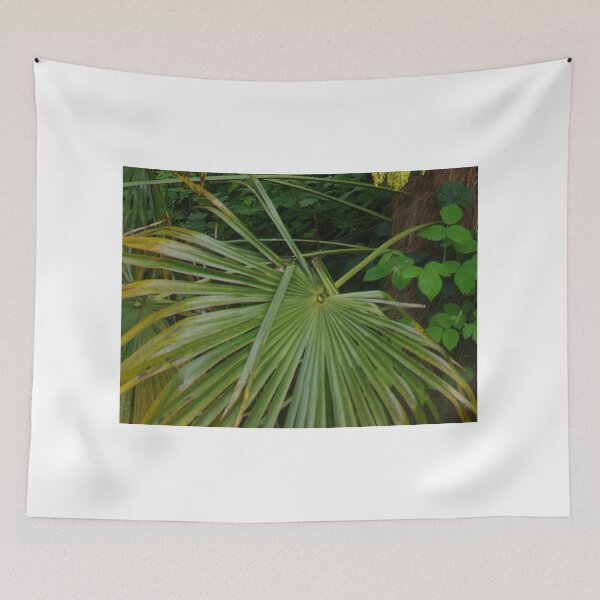 Item preview, Chusan Palm Frond designed and sold by lezvee.