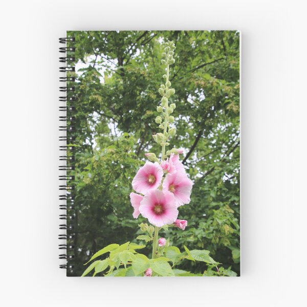 Aperçu de l'œuvre Rose trémière rose créée et vendue par gritsandbits.