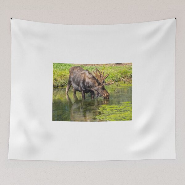Item preview, Moose designed and sold by Alla Gill.