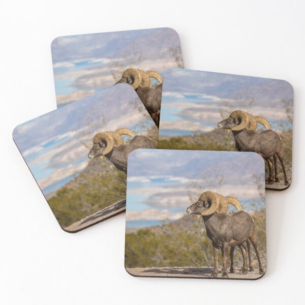 Item preview, Bighorn Sheep designed and sold by jendevosphoto.