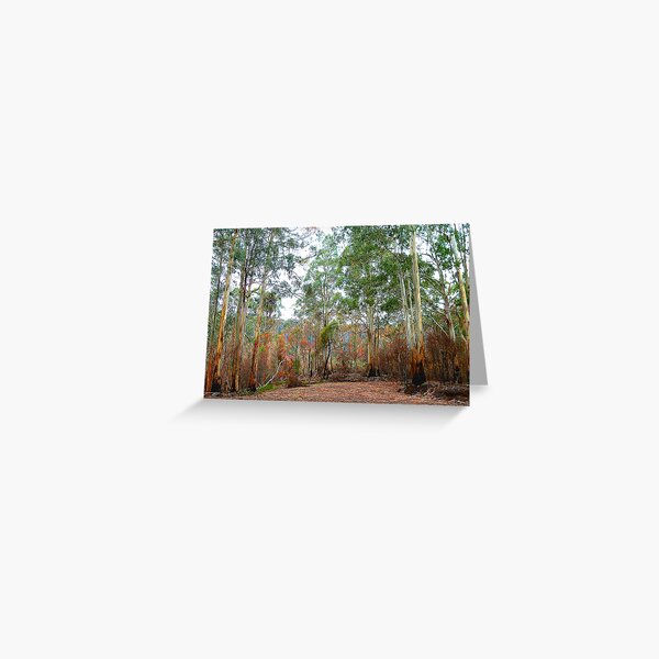 Item preview, Survivors - Mount Buller National Park, Victoria Australia designed and sold by Salieri1627.
