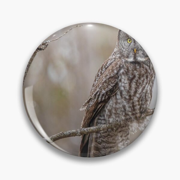 Item preview, Great Gray owl designed and sold by jendevosphoto.