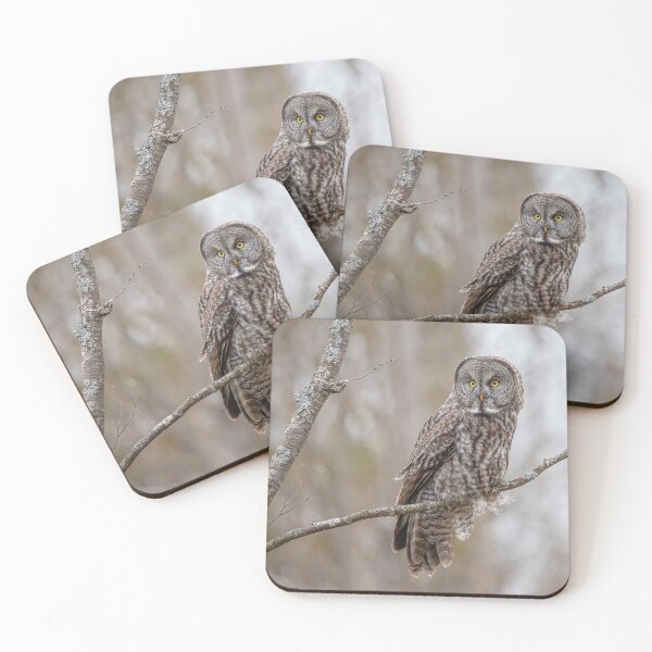 Item preview, Great Gray owl designed and sold by jendevosphoto.