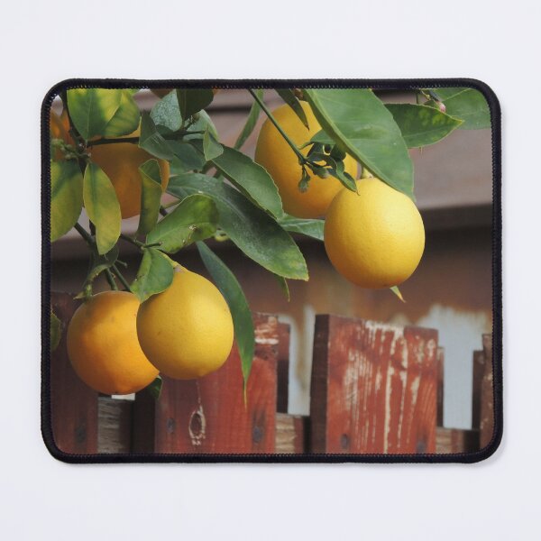 Item preview, Backyard Lemons designed and sold by Robert Ball.