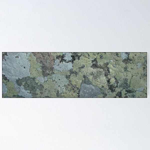 Item preview, I Lichen This designed and sold by Jayson Gaskell Photography.