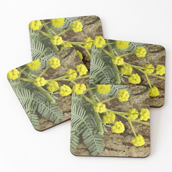 Item preview, Cootamundra Wattle on bark designed and sold by NanaRusty.