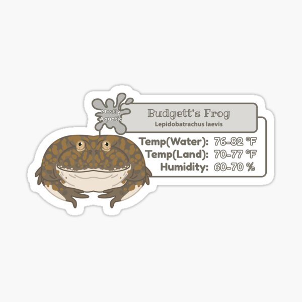 Budgetts Frog Gifts & Merchandise for Sale | Redbubble