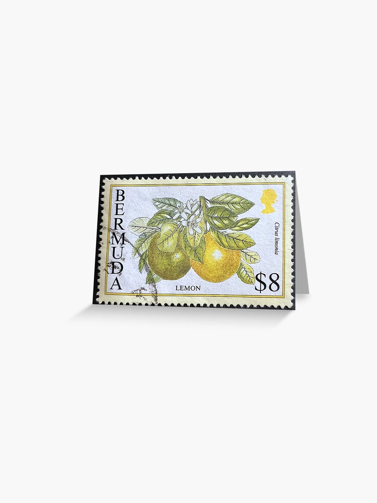 10 Lemon Stamps Unused 2 Cent Lemon Citrus Postage Stamps For Mailing –  Edelweiss Post