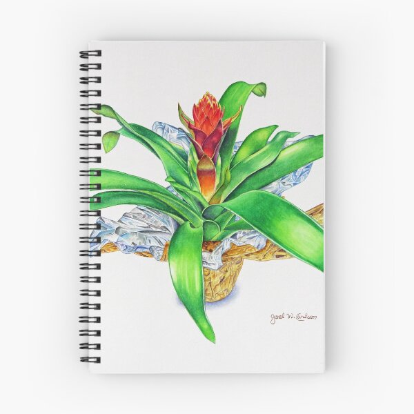 Item preview, Bromeliad designed and sold by joeyartist.