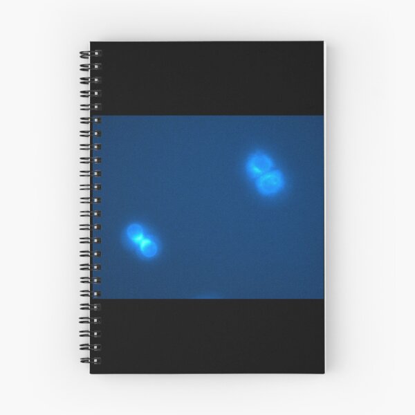 Item preview, Neon blue cells - glowing biology designed and sold by ArtByScience.