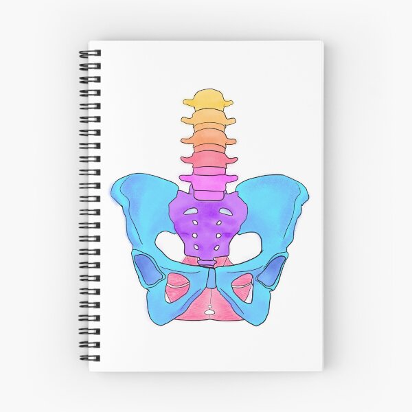 Item preview, Pastel Pelvis designed and sold by Caroline Shea.