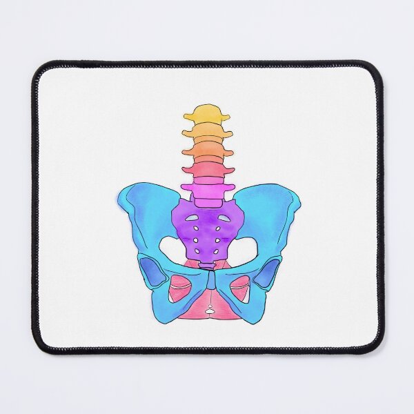 Item preview, Pastel Pelvis designed and sold by Caroline Shea.