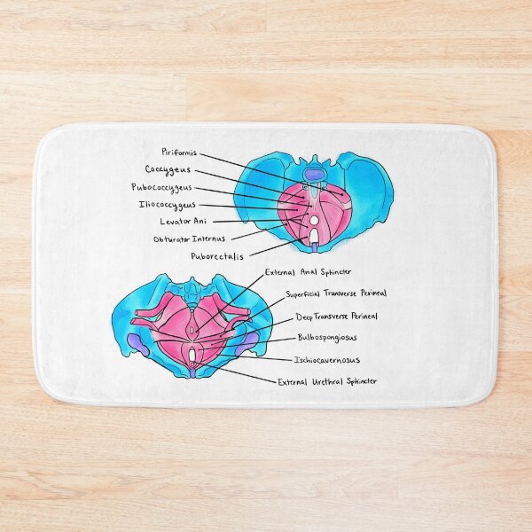 Item preview, Pelvic Floor Muscles designed and sold by Caroline Shea.