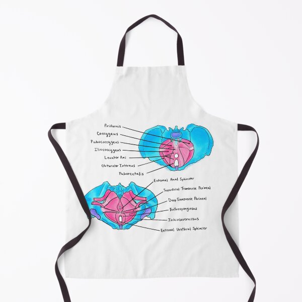 Item preview, Pelvic Floor Muscles designed and sold by Caroline Shea.