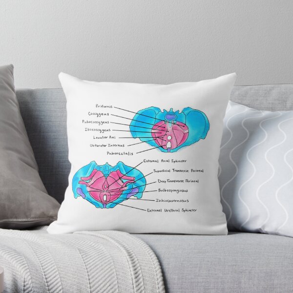 Piriformis pillow  Piriformis, Red roses, Pillows