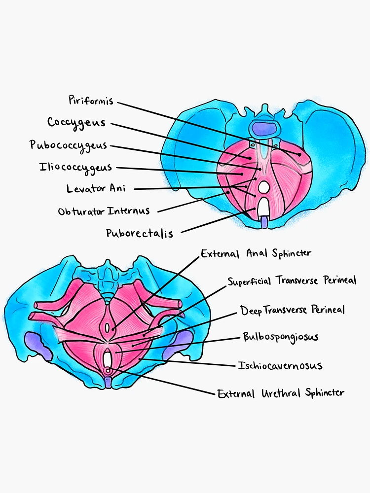 Psoas Zeichen und Obturatorzeichen