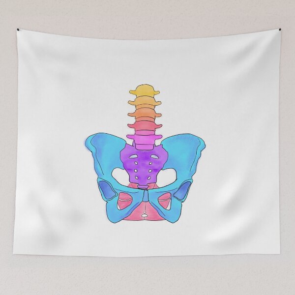 Item preview, Pastel Pelvis designed and sold by Caroline Shea.