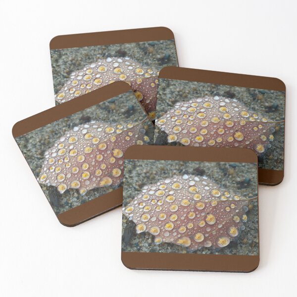 Item preview, The Fall of Spring Reflections designed and sold by cameoivory.