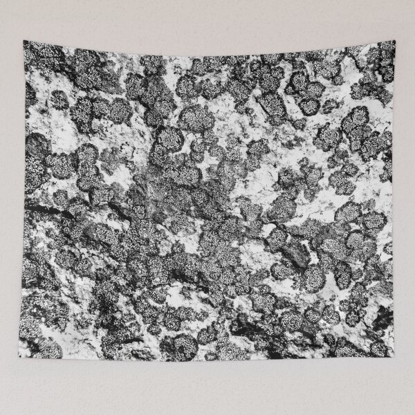 Aperçu de l'œuvre Côte Ouest: Layout Lichen créée et vendue par Chancelrie.
