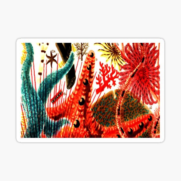 Artikel-Vorschau von  Das Great Barrier Reef in Australien ..., designt und verkauft von vawnbillionaire.