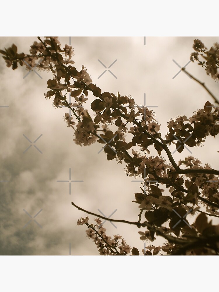 Faded Blooms by OneDayArt