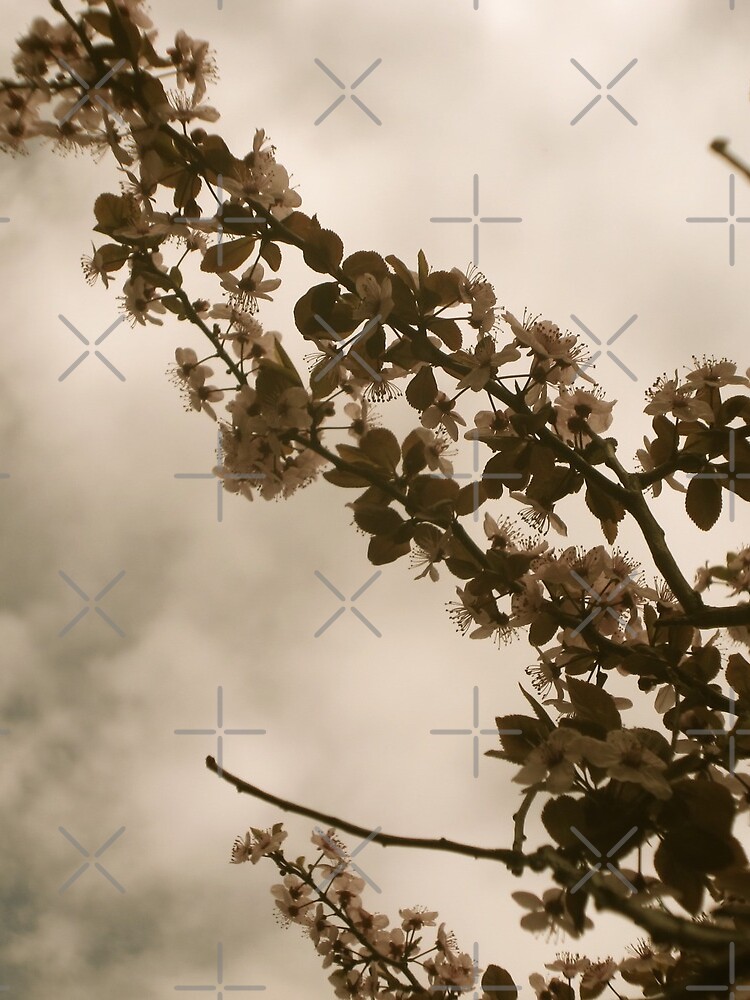 Faded Blooms by OneDayArt