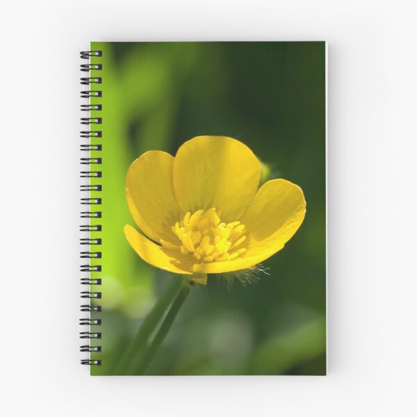 Item preview, Buttercup designed and sold by EugeJ.