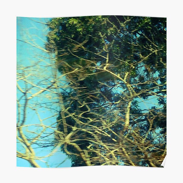 tree 5159 Poster
