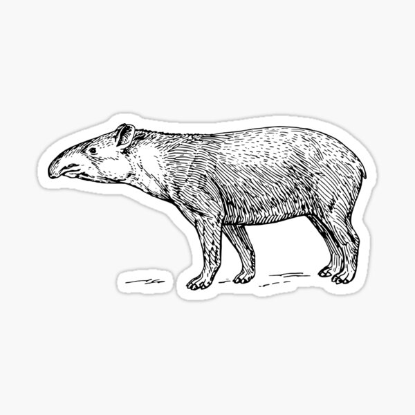 Vista previa del artículo con la obra «Tapir», diseñado y vendido por seriouscereal.