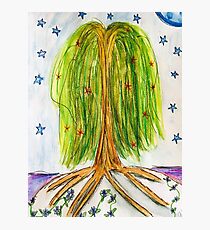 Starry willow Photographic Print