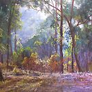 'Bush Colours'' by Lynda Robinson