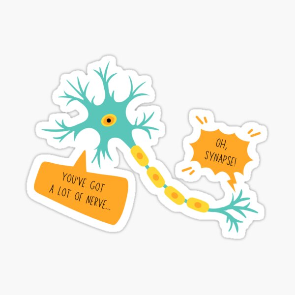 Neurology Jokes Stickers for Sale | Redbubble Neurology Jokes Stickers for Sale | Redbubble