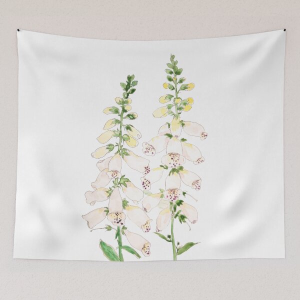 Item preview, hand painted 2 white foxgloves flowers blossom ink and watercolor designed and sold by ColorandColor.