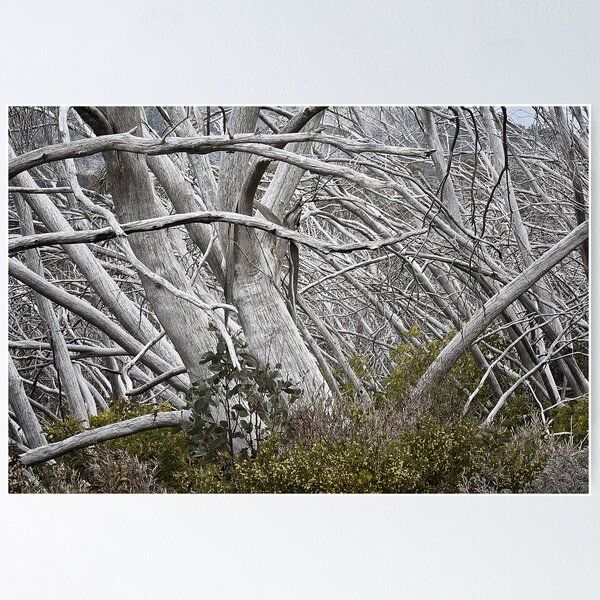 Item preview, 0564 Years after the inferno - Mt Buffalo designed and sold by Hans Kawitzki.