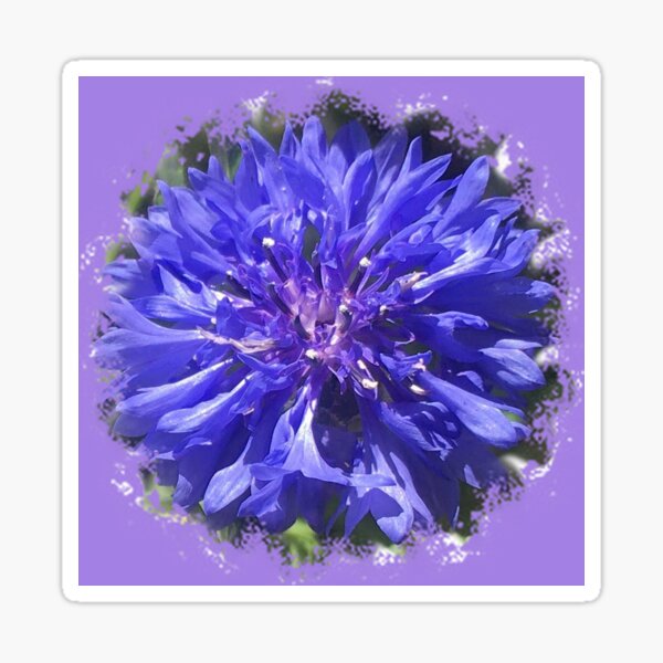 Item preview,  Cute spring flower with Ultramrin & Violet petals by Iritof designed and sold by iritof.