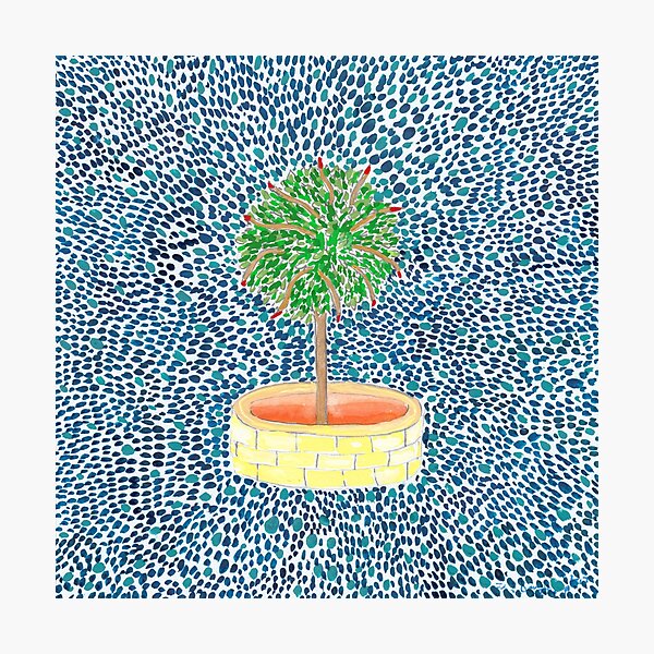 Tree Photographic Print