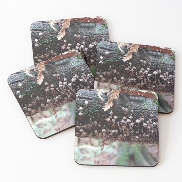 Item preview, Serene rainforest designed and sold by Workshopisme.