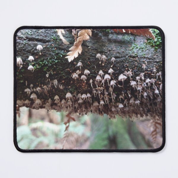 Item preview, Serene rainforest designed and sold by Workshopisme.