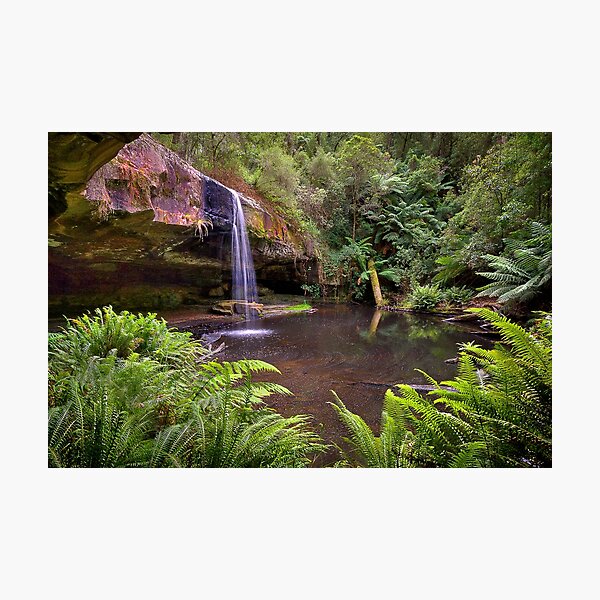 Item preview, 0537 Lower Kalimna Falls 4 - Otways designed and sold by Hans Kawitzki.
